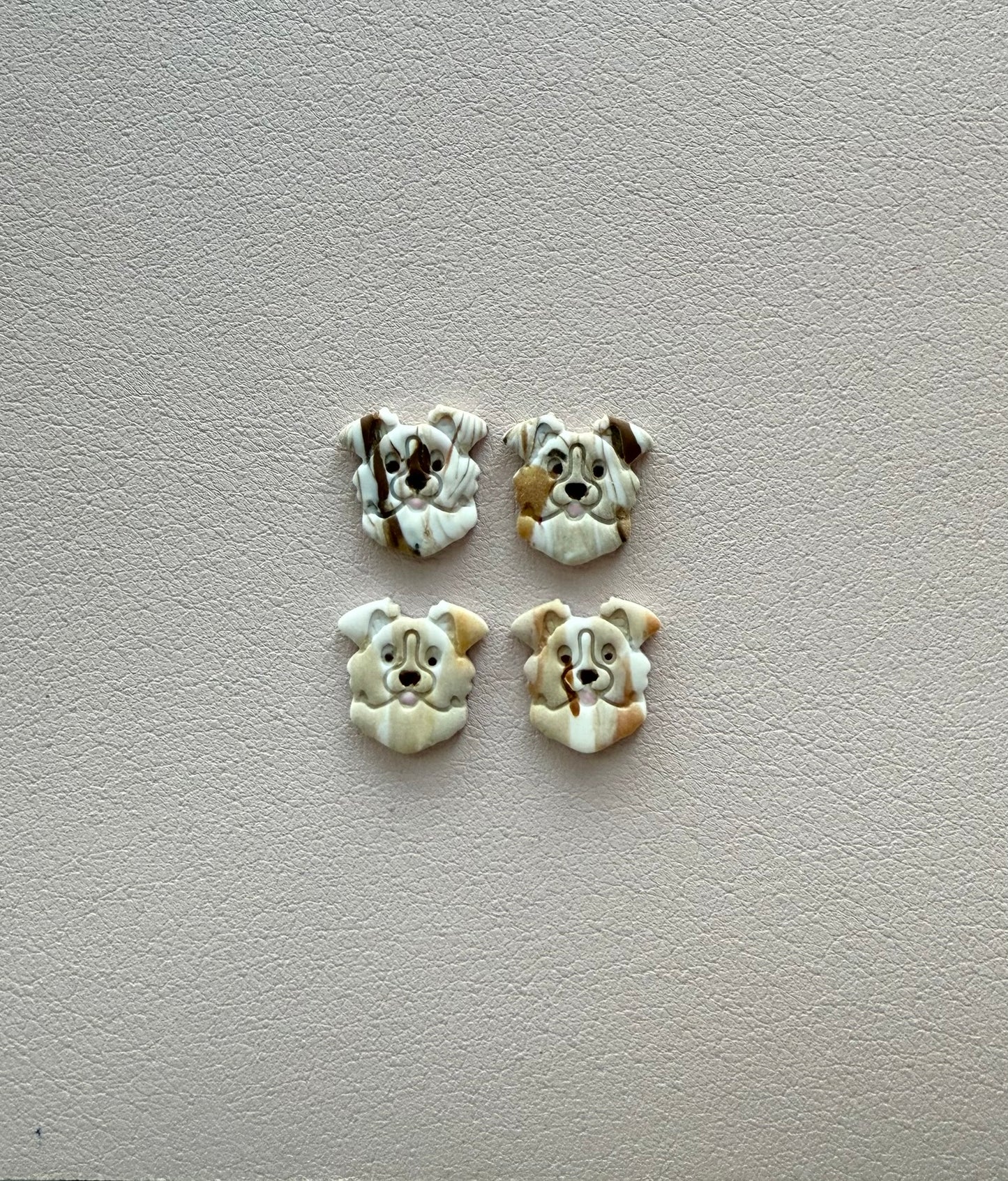 Aussie/Border Collie Studs