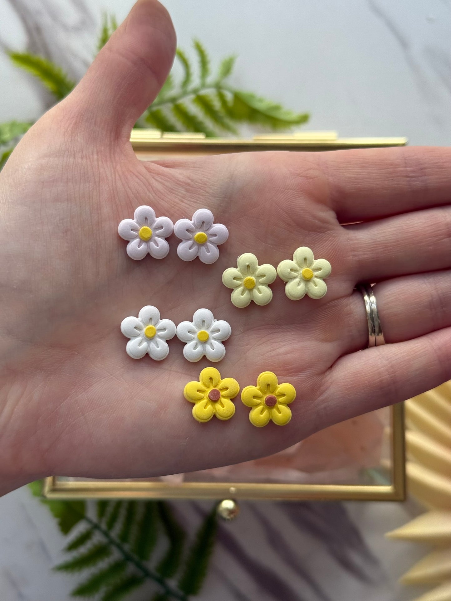 Cute Daisies