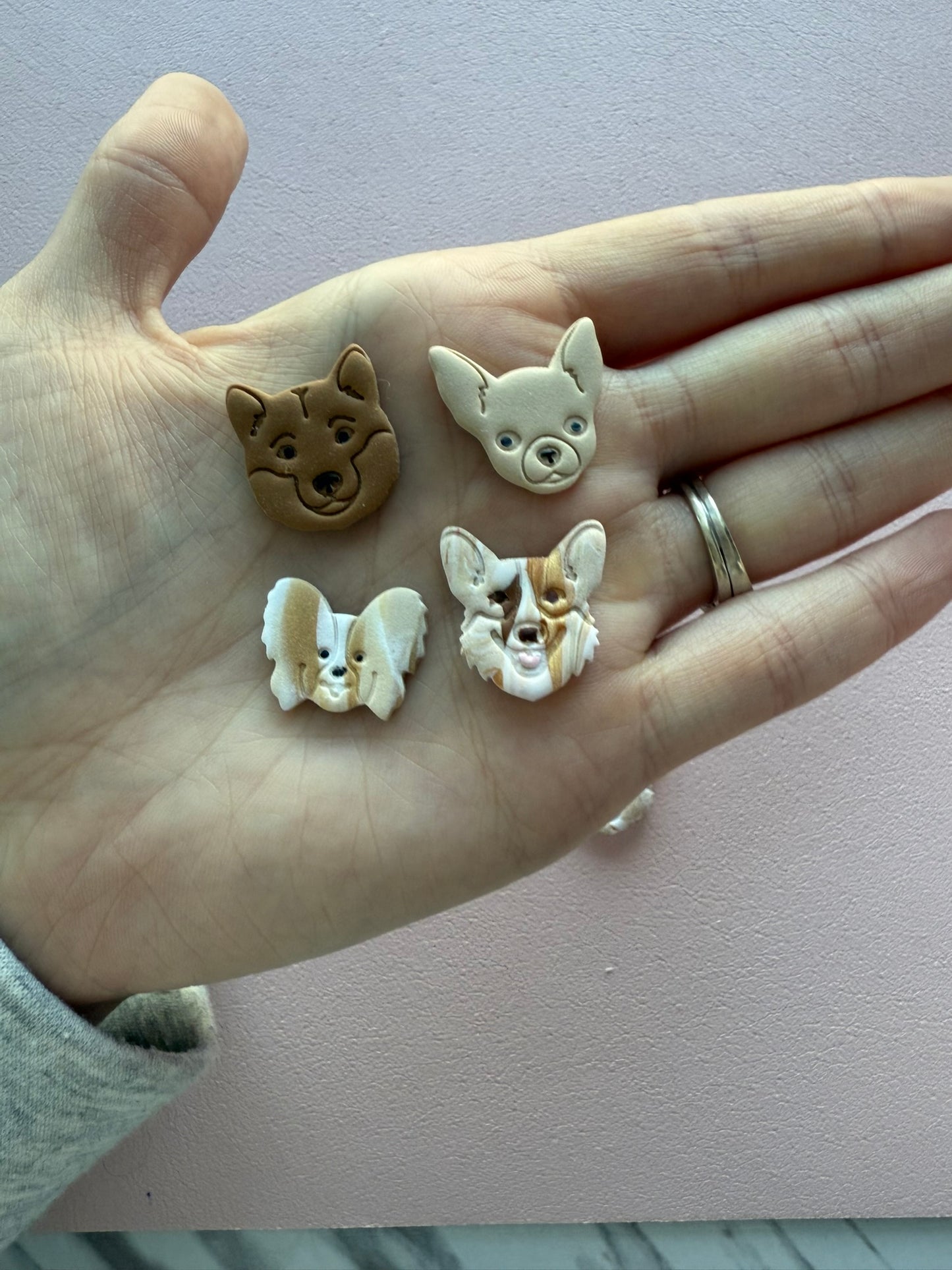 Cute Dog Studs