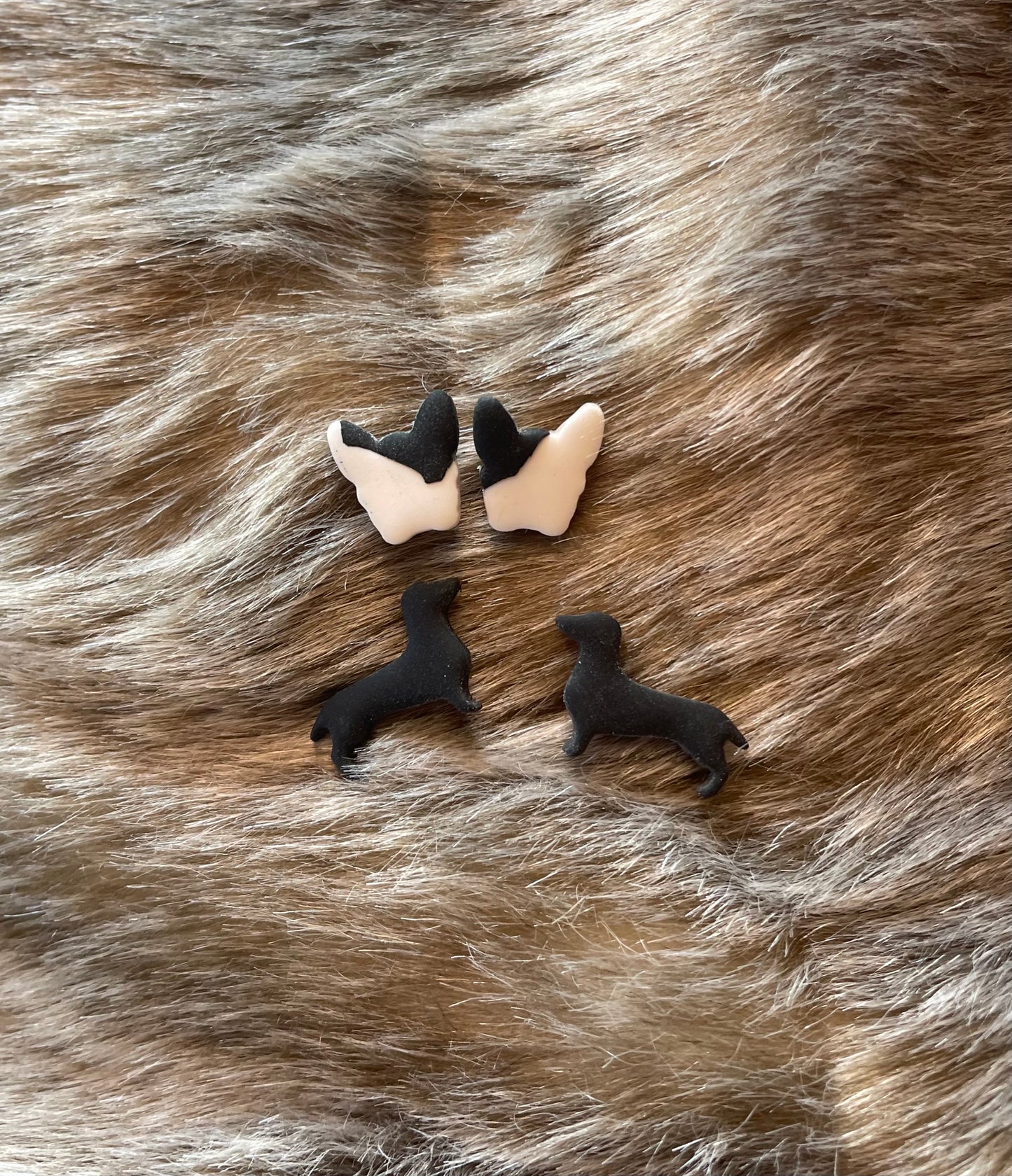 Frenchie and Dachshund Studs