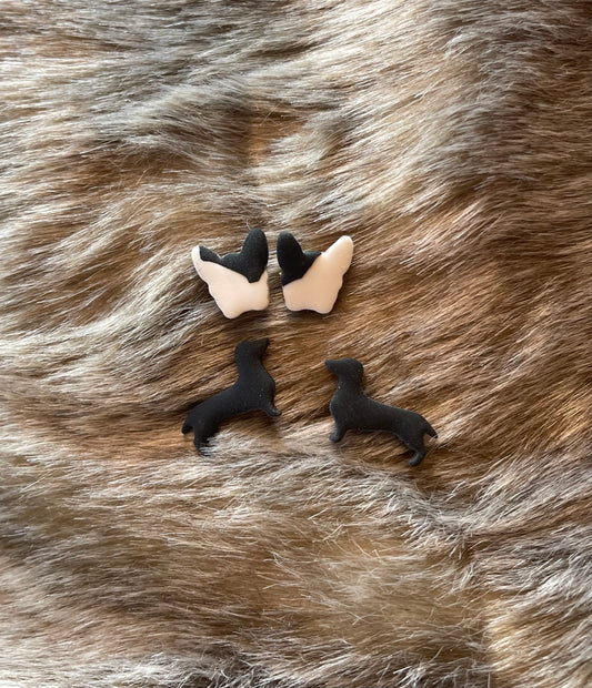 Frenchie and Dachshund Studs